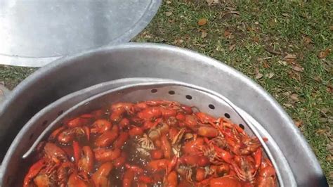 How To Boiling Crawfish Louisiana Style Youtube