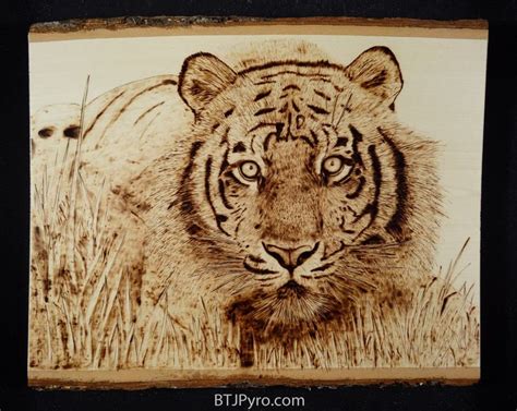 Tiger Wood Burning By Brandojones On Deviantart Wood Burning