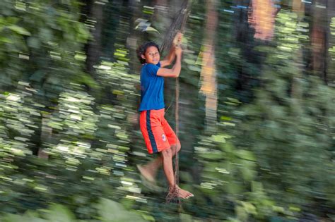 Usos del caucho natural Qué se puede hacer con él Fontaneria Lucero