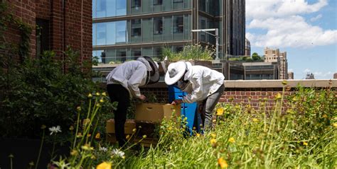 Biodiversity in Urban Environments | ArchDaily