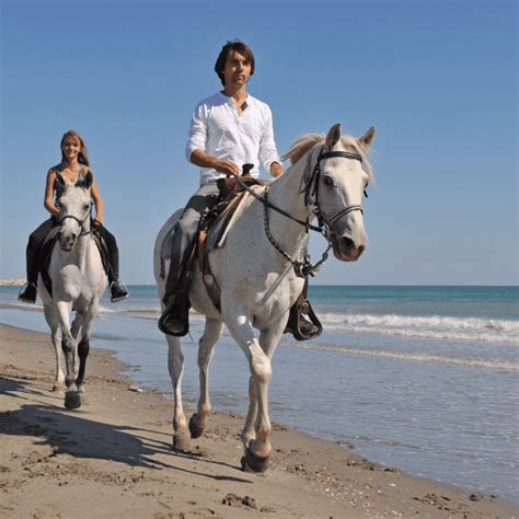 Puerto Rico Horseback Riding: Guide to the Best Tours (2023) - Traveler ...