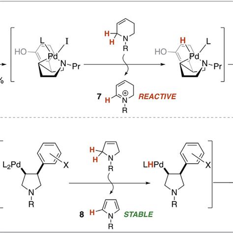 Scope Of Pyrroline Reductive Mizoroki Heck Arylation Download