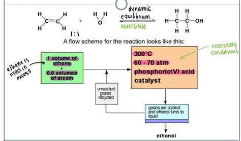 Biofuels Flashcards Quizlet