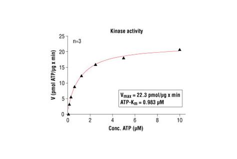 Htscan® Pkcζ Kinase Assay Kit Cell Signaling Technology