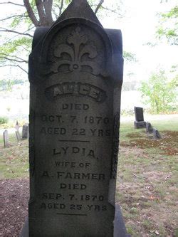 Lydia C Rinehart Farmer 1845 1870 Mémorial Find a Grave