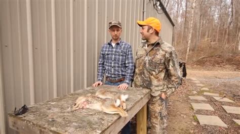 Video: How to Skin a Rabbit Without a Knife (WARNING: Graphic ...