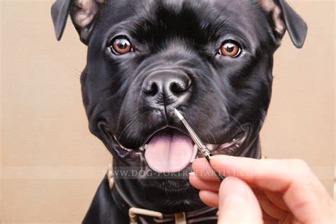 Staffy Dog Portraits Painting