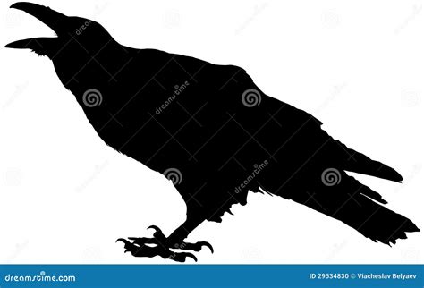 Cawing raven stock vector. Illustration of croack, prophet - 29534830