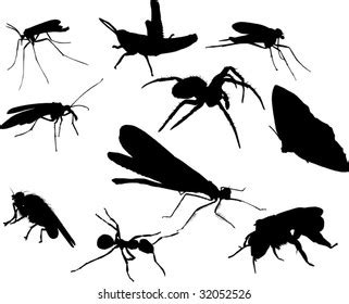 Illustration Insect Silhouettes Isolated On White Stock Vector Royalty