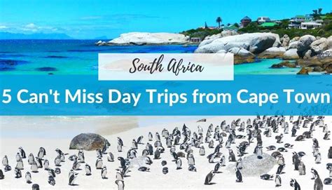 5 Can't Miss Day Trips from Cape Town, South Africa