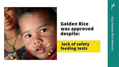 Reasons To Reject Golden Rice YouTube