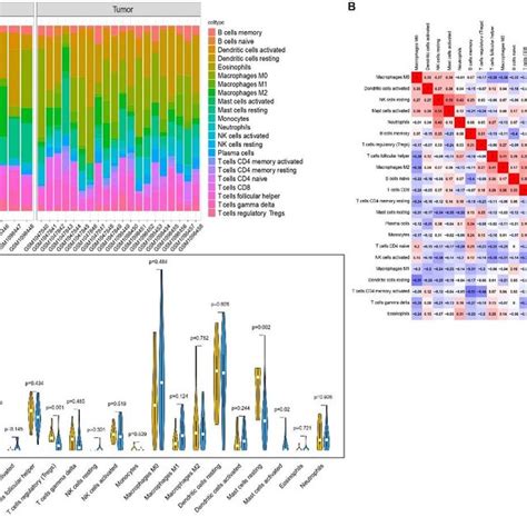 Microenvironmental Immune Infiltration Analysis A Bar Graph Of