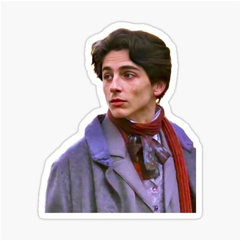 Timothee Chalamet Sticker By Ellepark Redbubble Name Stickers Diy