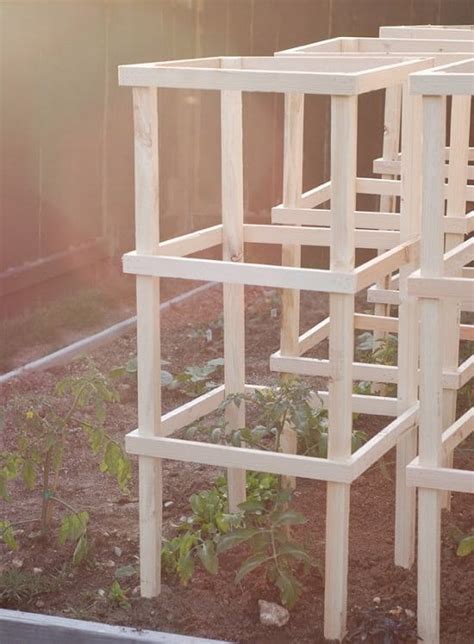 18 DIY Tomato Cage And Stake Ideas Balcony Garden Web