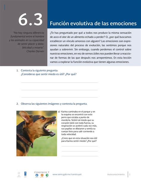 PDF Comunicación 6 siones naturales del proceso de evolución las