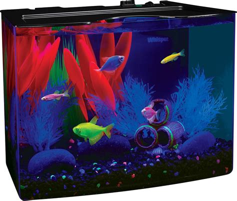 Best 3 Gallon Fish Tank | 2022 Aquatic Arts Update