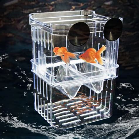 Fish Breeding Box Fish Breeding Box Acrylic Fish Breeding Isolation Box