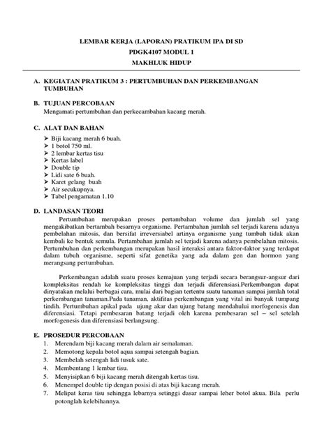 Mengamati Pertumbuhan Dan Perkembangan Kacang Merah Pdf