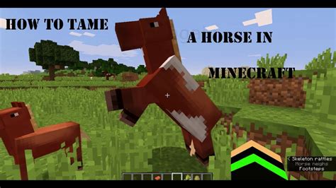 How To Tame A Horse Easily In Minecraft For Beginners Youtube