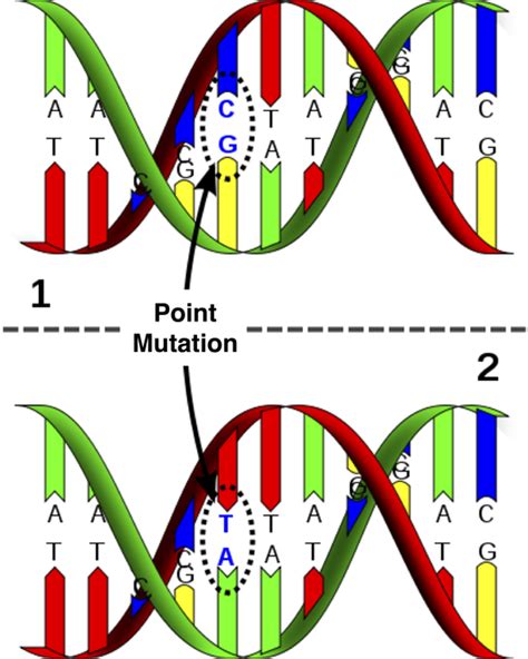 Mutations