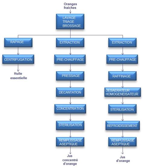 10 étapes Diagramme De Fabrication De Jus D Orange