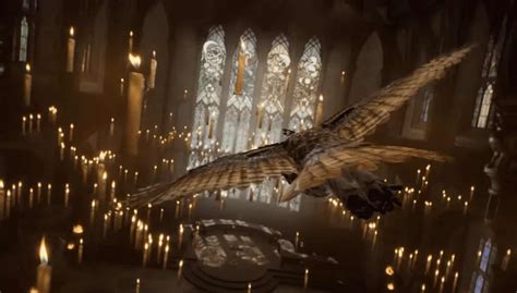 Trailer de Hogwarts Legacy mostra magias e dragões Nerd Start