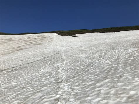 大雪山赤岳のウスバキチョウ、アサヒヒョウモン、ダイセツタカネヒカゲ！2021年6月26日 Butterflyers Blog