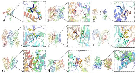 Scielo Brasil Identification Of The Active Compounds And Their