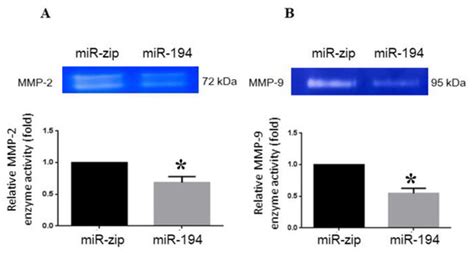 Ijms Free Full Text Down Regulation Of Mir 194 5p For Predicting