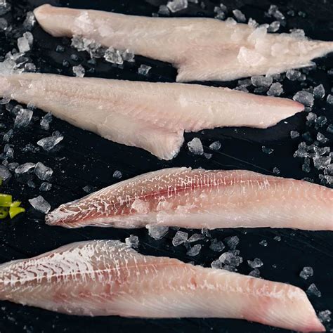 Fresh Haddock Fillets (1 lb.) - True North Seafood