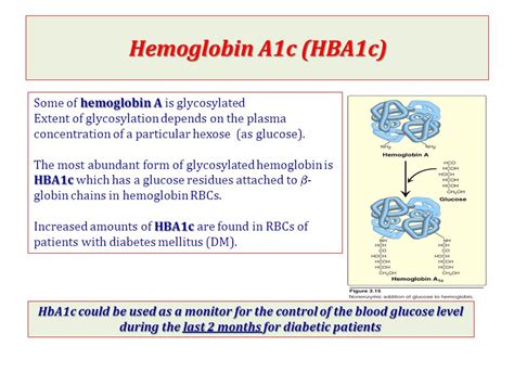 Hba1c Normal & High Ranges & How to Control Hba1c » How To Relief