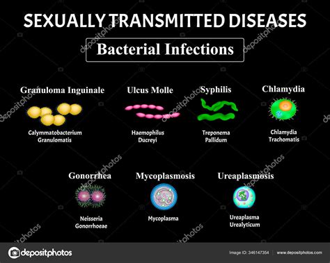 Syphilis Spirochaete Treponema Gonococcus Gonorrhea Chlamydiosis