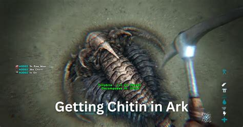 How To Get Chitin In Ark Nerd Lodge