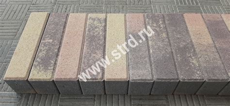 Тротуарная плитка Паркет Color Mix "Прайд" верхний прокрас на белом ...