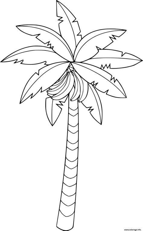 Coloriage Arbre Bananier Qui Fait Des Bananes JeColorie