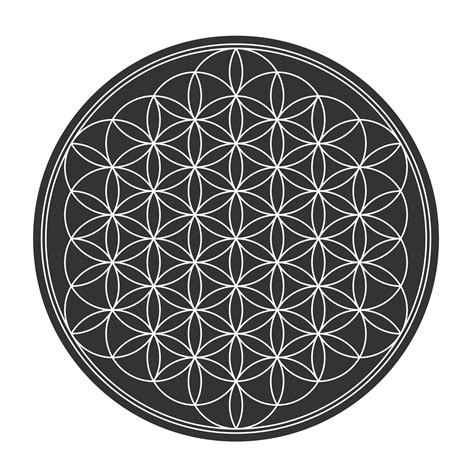 Flower Of Life 50844 Vector Art At Vecteezy