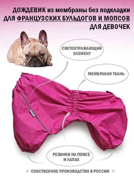 Мембранный дождевик без подкладки для французского бульдога купить на ...
