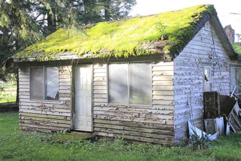 Old Abandoned Shack stock photo. Image of building, trees - 45756898