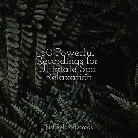 Powerful Recordings For Ultimate Spa Relaxation Von M Sica Ambiental