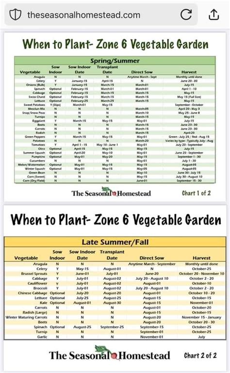 Pin By Mary Smith On For The Home In 2024 Vegetable Growing Chart Growing Vegetables Garden