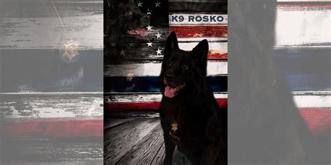 Retired K 9 Passes Away Says Iowa Co Sheriffs Office