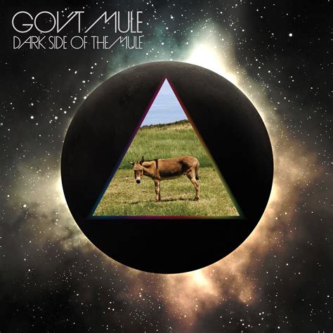 Govt Mule Dark Side Of The Mule Cd Leeways Home Grown Music Network