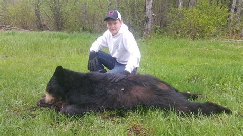 Bear Hunting Seasons and Rates - Highland Outfitters | Canada