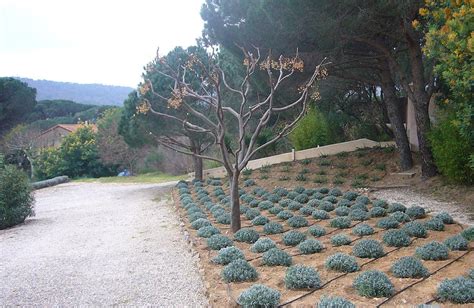 La Cr Ation Et L Am Nagement De Vos Jardins Fabrice Jardin