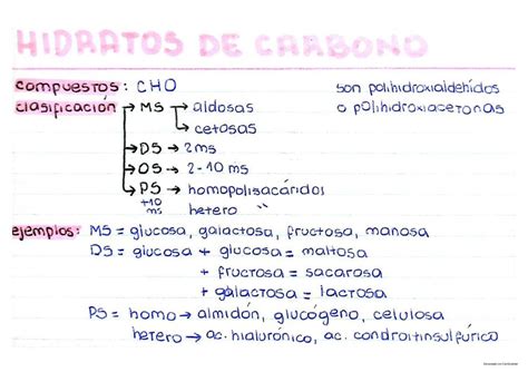 Hidratos De Carbono Fichas Resumen Medgram Unr Udocz