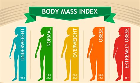 Woman Body Mass Index Info Chart Female Silhouette Medical Infographic Vector Illustration