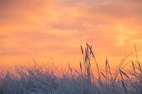 Wallpaper Sunlight Sunset Nature Sky Winter Field Sunrise Cold