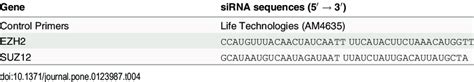 Silencing small interfering RNA sequences. | Download Scientific Diagram 