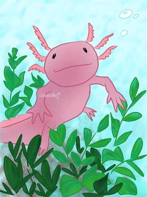 Axolotl By Ivaardwolf On Deviantart