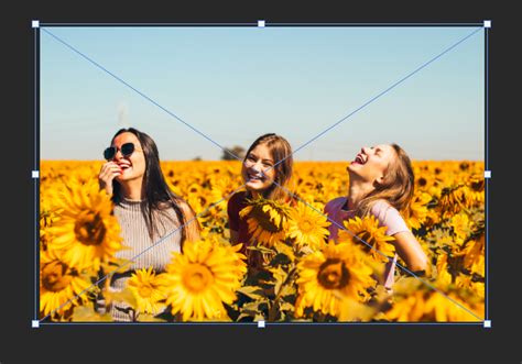 How To Resize An Image In Photoshop Without Distortion